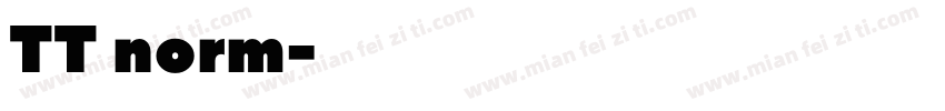 TT norm字体转换